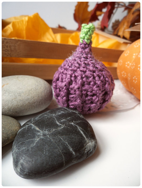 Tuto figue au crochet Cam&Dreybricolent