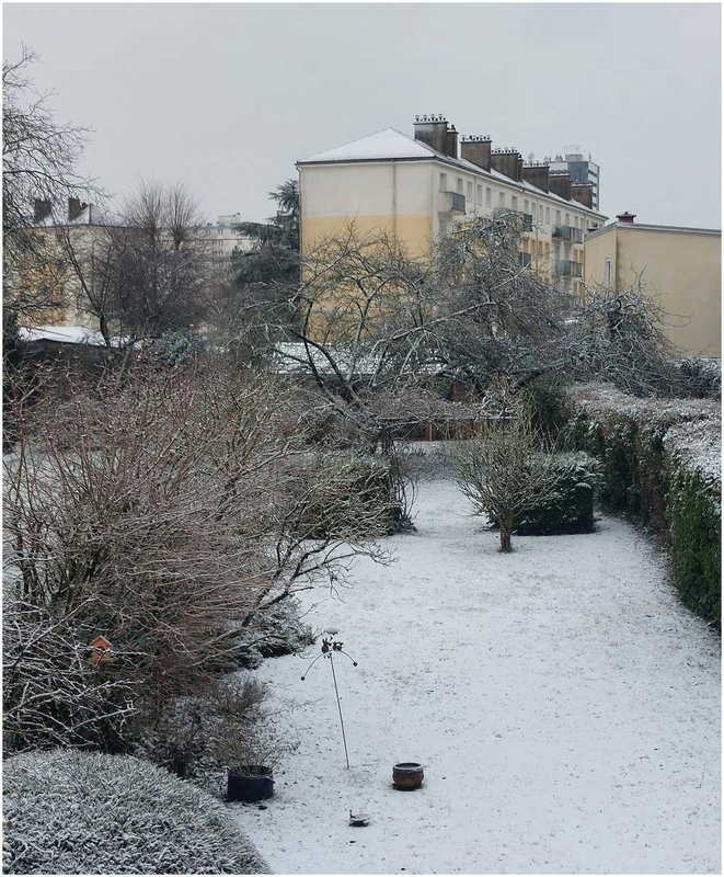 neige