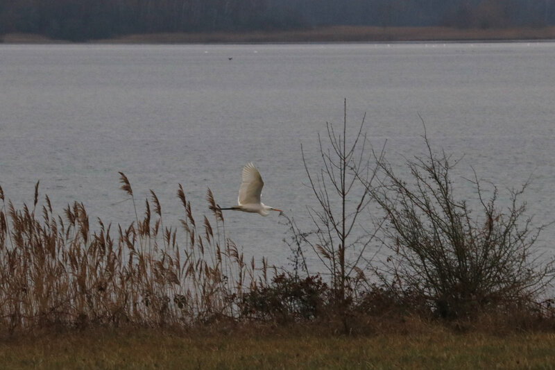 IMG_3868