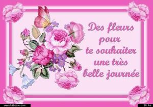 fleurs_bonne_journ_e