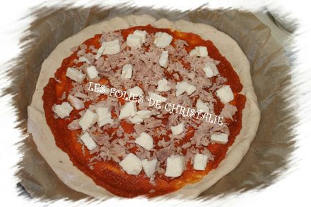 Tarte au thon 4