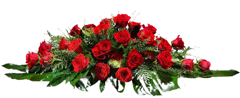 Coussin de roses rouges