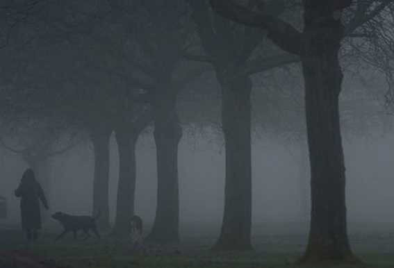 alamyphoto-brouillard
