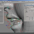 Atelier : Infographie 3D - Setup Rigging - <b>XSI</b>