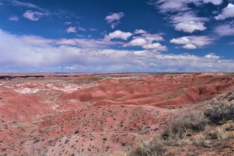 Day 5 - painted-desert