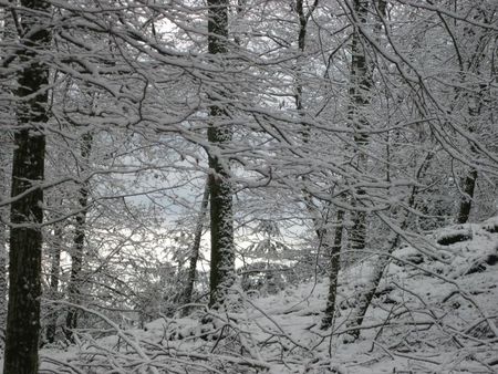 la neige à Andlau