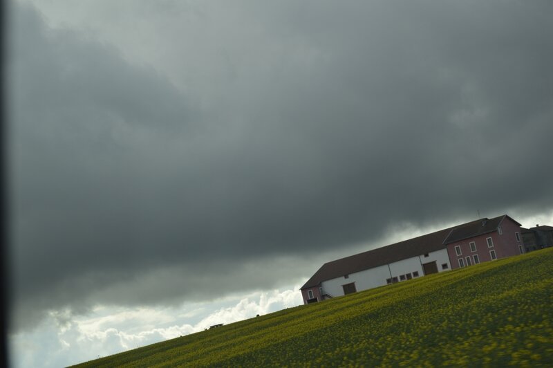 _DSC0266