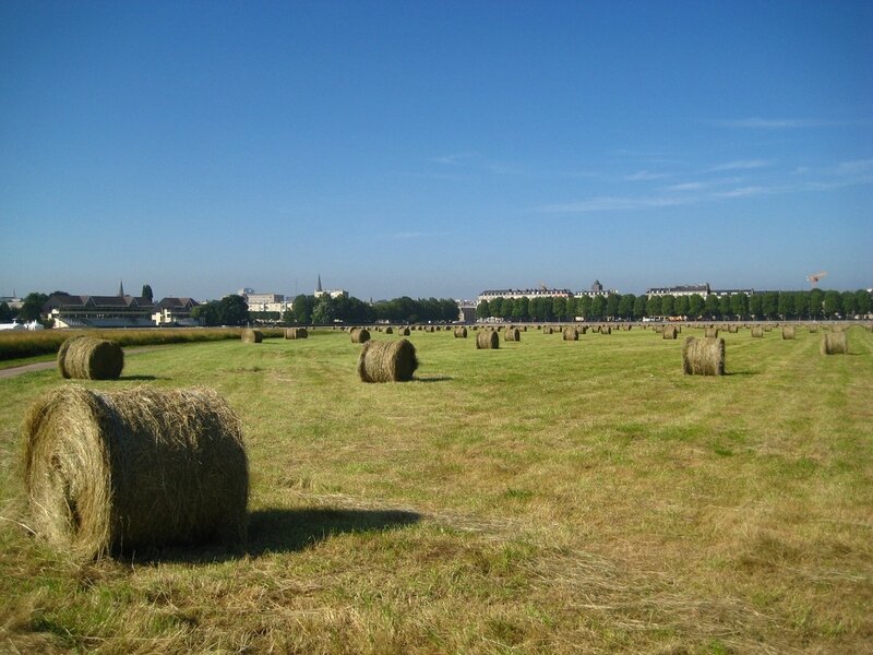 Caen_prairie_fenaison
