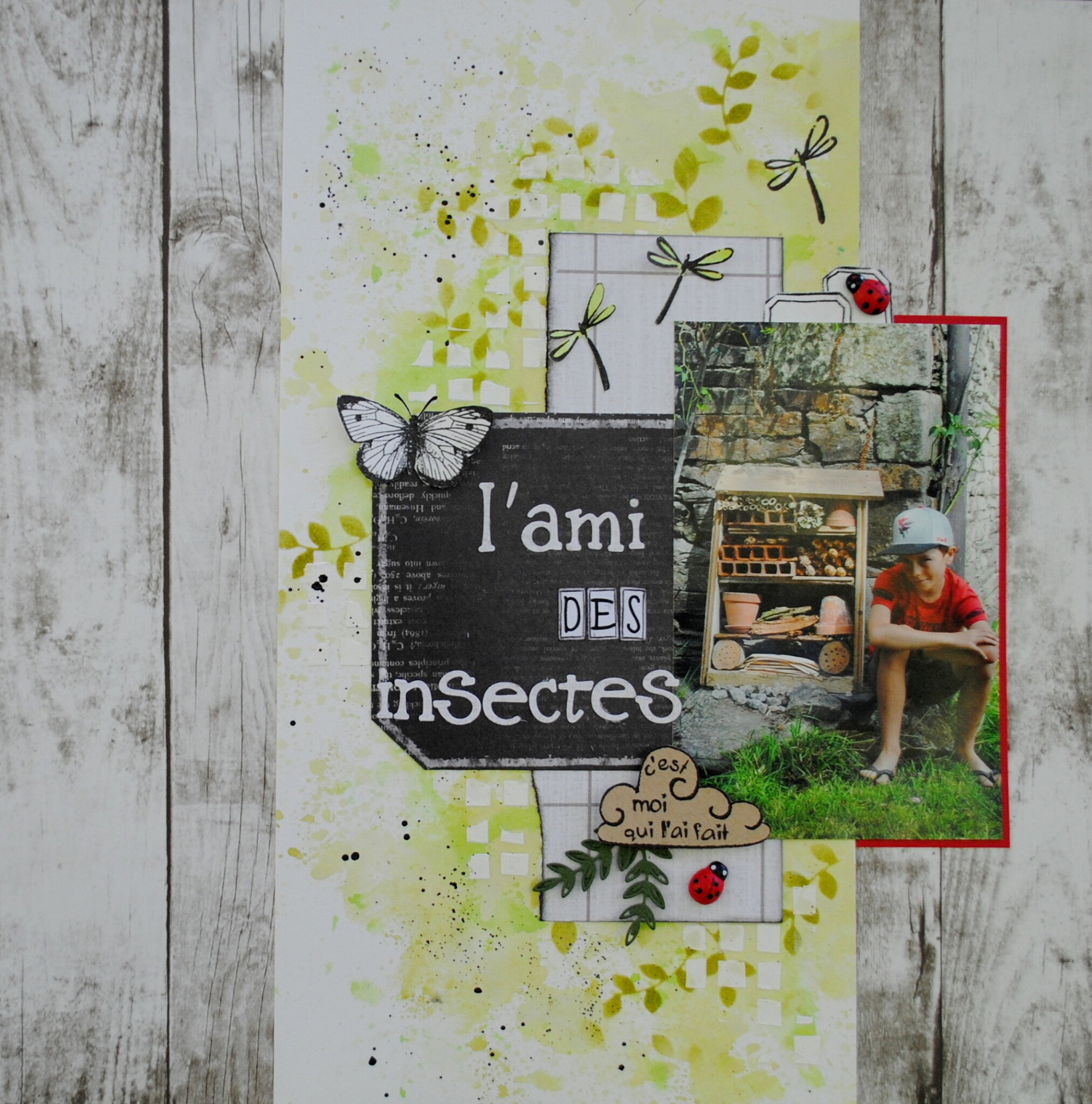 L'ami des insectes