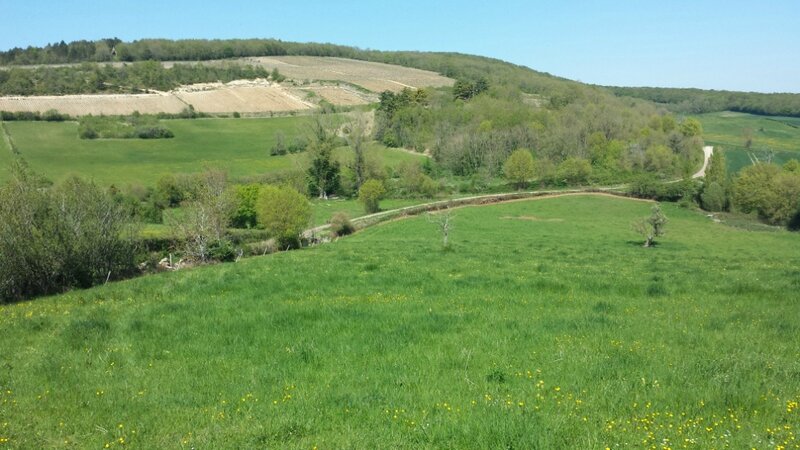 Quelque part sur la route en bas, les picci et leur grand-père