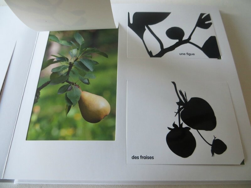 Fruits, fleurs, légumes