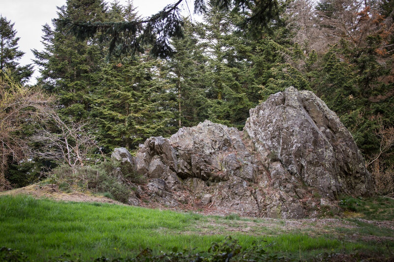 23042019-Toine002