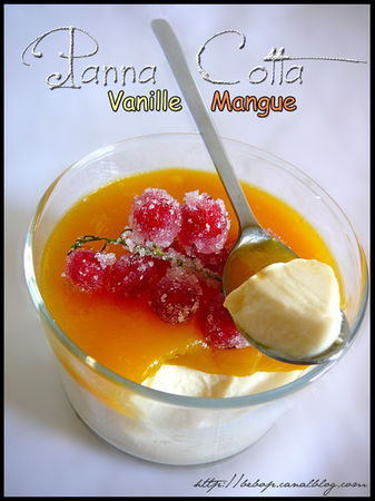 Panna_cotta_vanille__coulis_de_mangue_et_groseilles_givr_es