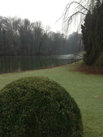 jardin botanitque Meise_feb 201305