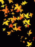VentFeuilles