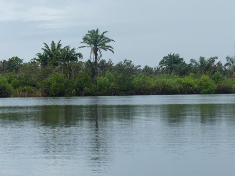 P1230801