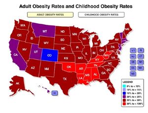 USA_obesity_map