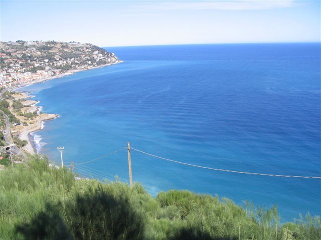 Bordighera Bergon P