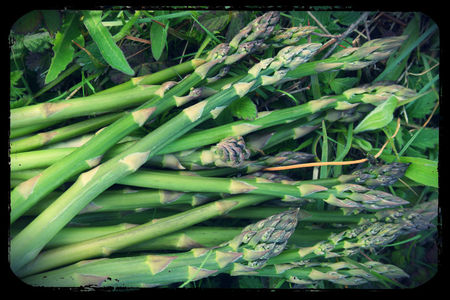 bouquet_asperges