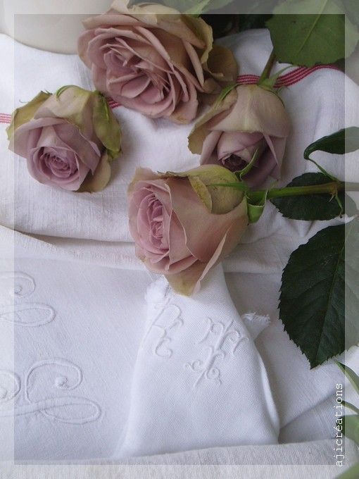 Roses sépia pour ambiance de charme