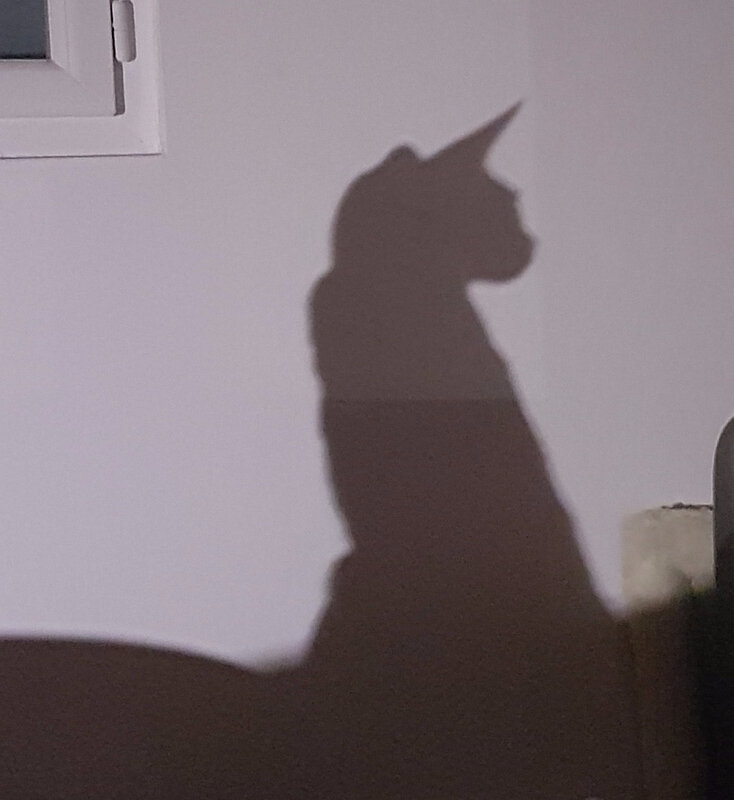 Secret's shadow