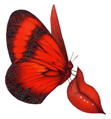 papillon152