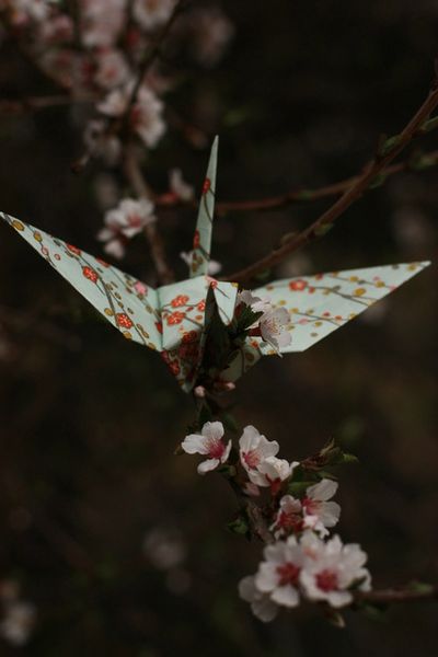 grue en origami pour Mai