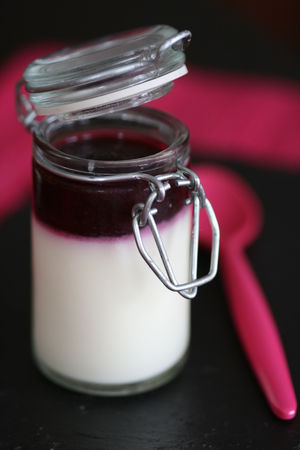 panna_cotta_basilic_et_coulis_de_cerise_2