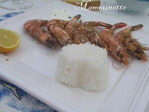 Gambas_au_bbq__st_jacques___la_ciboule_et_glace_diman_24