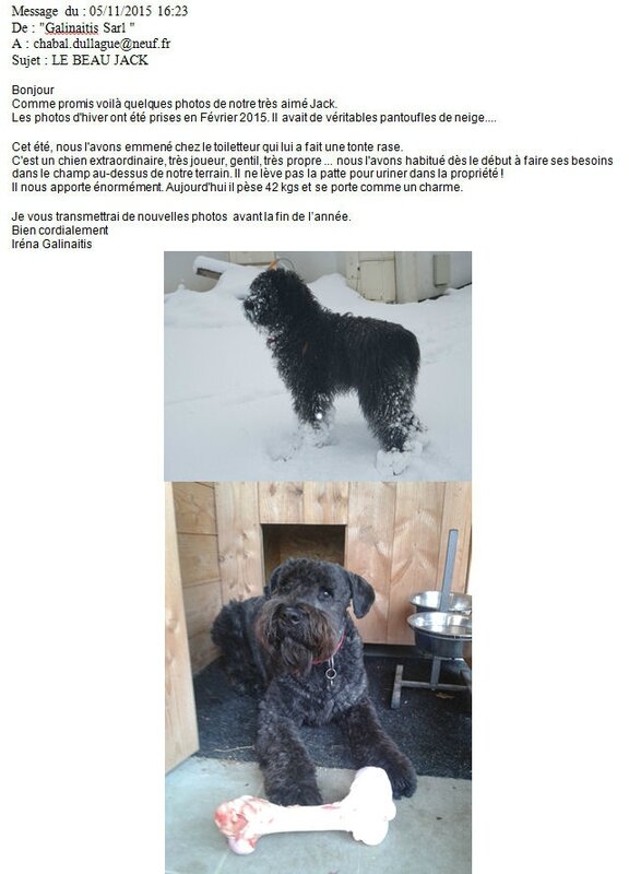 des nouvelles de JACK de la Dullague qui vit à coté de GRENOBLE