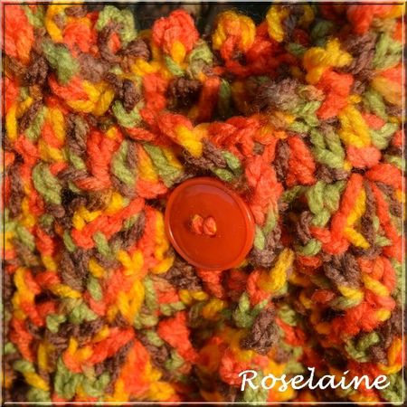 Roselaine97 gilet pétale avril