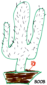 CACTUS_BOOB