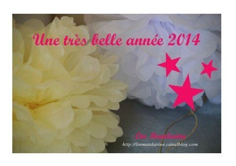 preview-bonne-annee-2014-1