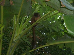 Mayotte_mars2007_037