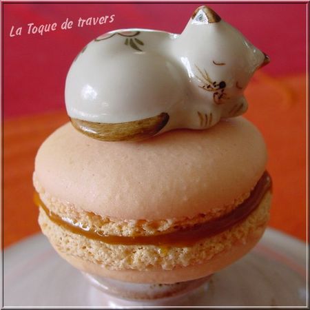 Et ron, et ron, petit macaron … au caramel salé recettes Macarons de Noël {en forme de sapin} { christmas tree macaron}