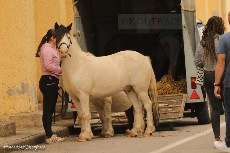 Photos JMP©Koufra 12 - La Cavalerie - 13e DBLE - 28092019 - 0083