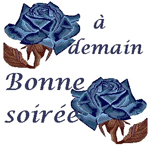 a_demain_bonne_soir_e