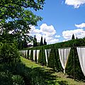 Le jardin de l'Alchimiste