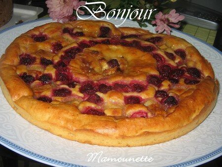 Tarte_brioch_e_aux_framboises_et_son_croquant_de_chocolat_blanc_bonjour_017