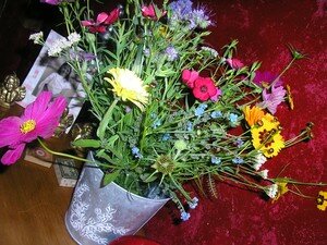 Photo_1416