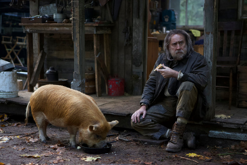 JC pig