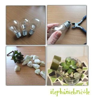 ampoule plante, ampoule recyclée