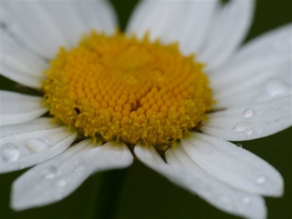 P1120226