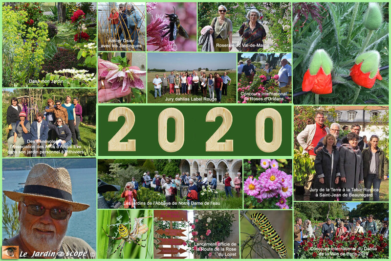 Vœux-2020