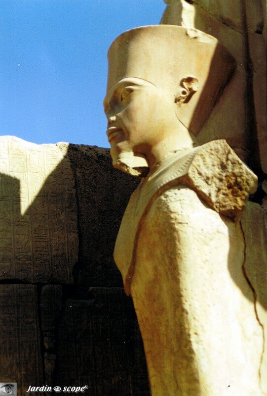 Ramsès II