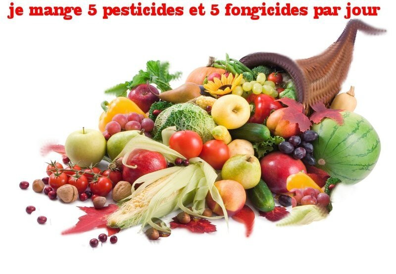 12-7 fruits-et-legumes_src_1