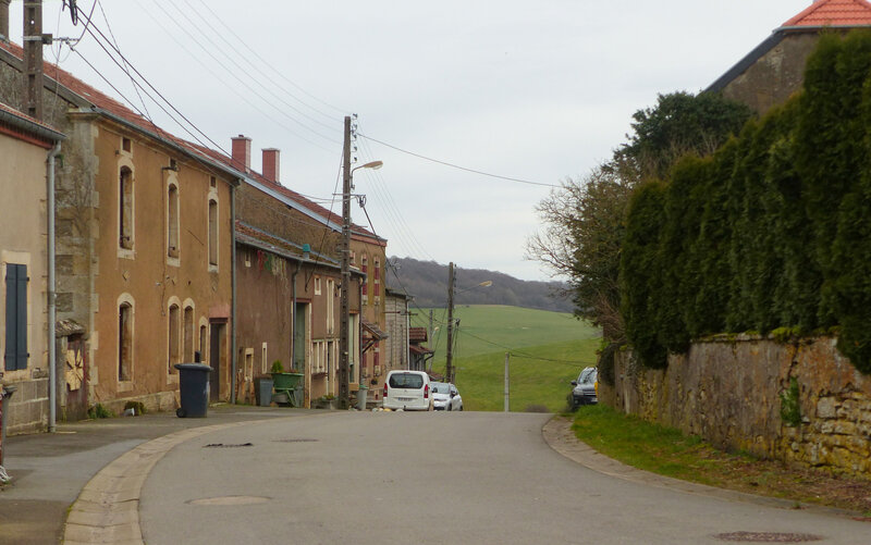 P1510327