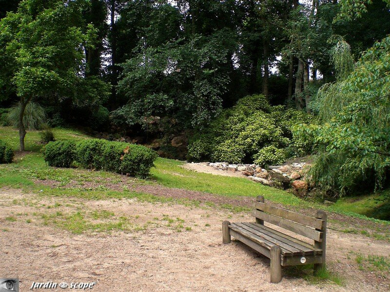 A l'arboretum de Chateauneuf-sur-Loire