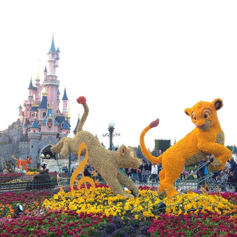 Chateau et le Roi Lion