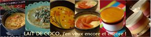 BANNIERE_LAIT_DE_COCO___texte